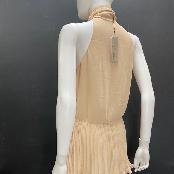 Foley + Corinna Trapeze Tiered Mini Dress - Picture 6 of 11